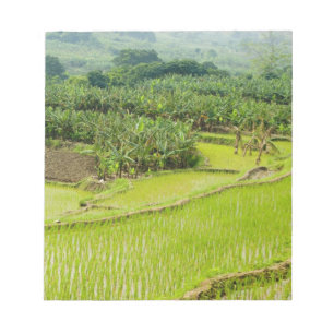 Asien, China, Provinz Yunnan, Honghe. Banane Notizblock