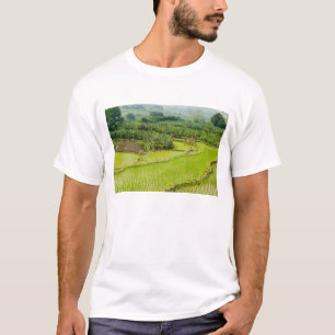 Asien, China, Provinz Yunnan, Honghe. Banane T-Shirt