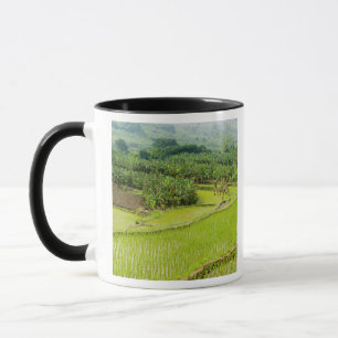 Asien, China, Provinz Yunnan, Honghe. Banane Tasse