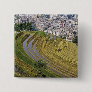 Asien, China, Provinz Yunnan, Jinping. Jinping Button