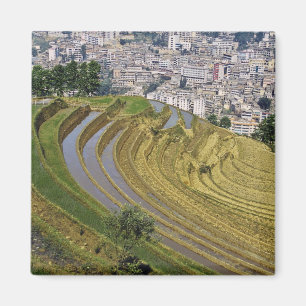 Asien, China, Provinz Yunnan, Jinping. Jinping Magnet