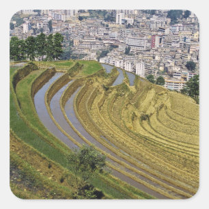 Asien, China, Provinz Yunnan, Jinping. Jinping Quadratischer Aufkleber