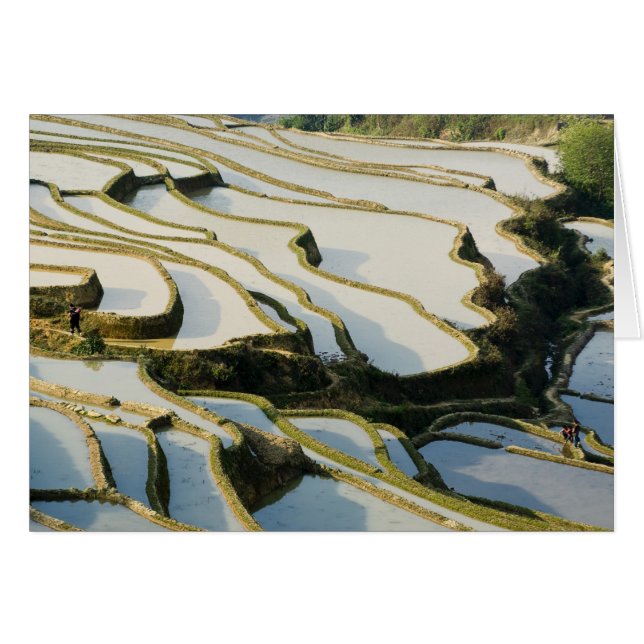 Asien, China, Provinz Yunnan, Landkreis Yuanyang. (Vorderseite (Horizontal))