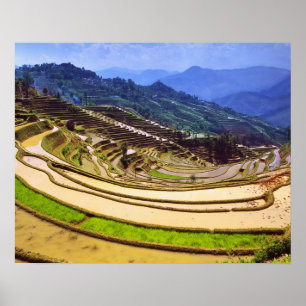 Asien, China, Provinz Yunnan, Landkreis Yuanyang. Poster