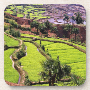 Asien, China, Yunnan, Honghe.  Reisterrassen bei 2 Getränkeuntersetzer