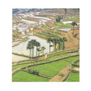 Asien, China, Yunnan, Honghe. Reisterrassen in de Notizblock