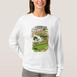 Asien, China, Yunnan, Honghe. Reisterrassen in de T-Shirt