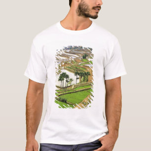 Asien, China, Yunnan, Honghe.  Reisterrassen in de T-Shirt