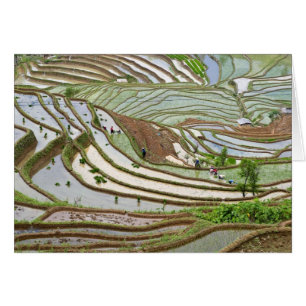 Asien, China, Yunnan, Jinping. Einheimische Yi