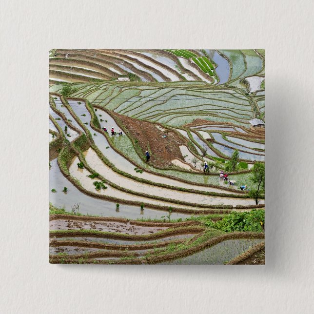 Asien, China, Yunnan, Jinping. Indianervölker Button (Vorderseite)