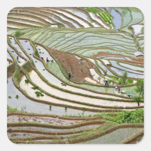 Asien, China, Yunnan, Jinping. Indianervölker Quadratischer Aufkleber