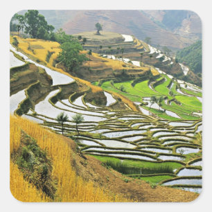 Asien, China, Yunnan, Präfektur Yuxi; Yuanjiang. Quadratischer Aufkleber