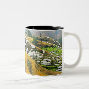 Asien, China, Yunnan, Präfektur Yuxi; Yuanjiang. Zweifarbige Tasse