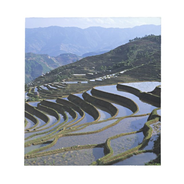 Asien, China, Yunnan, Yuanyang. gequält Notizblock (Vorderseite)