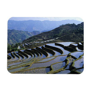 Asien, China, Yunnan, Yuanyang. geraubt Magnet