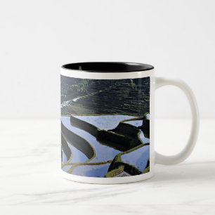Asien, China, Yunnan, Yuanyang. geraubt Zweifarbige Tasse