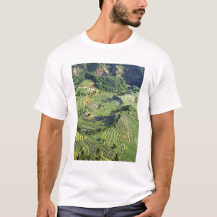 Asien, China, Yunnan, Yuanyang. Grünmuster T-Shirt