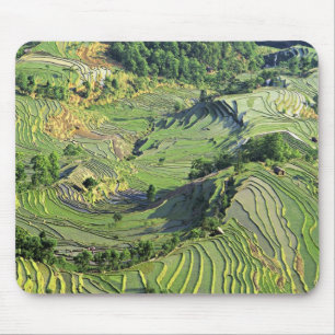 Asien, China, Yunnan, Yuanyang. Muster aus Grün Mousepad
