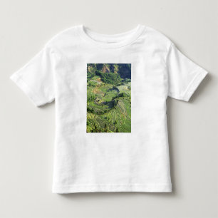 Asien, China, Yunnan, Yuanyang. Muster in Grün Kleinkind T-shirt