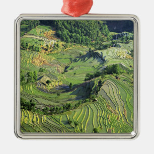 Asien, China, Yunnan, Yuanyang. Muster in Grün Ornament Aus Metall