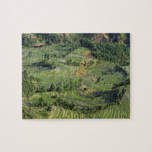 Asien, China, Yunnan, Yuanyang. Muster von Grün 2 Puzzle