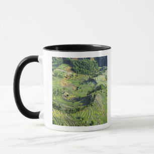 Asien, China, Yunnan, Yuanyang. Muster von Grün Tasse