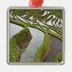 Asien, China, Yunnan, Yuanyang. Reis Silbernes Ornament