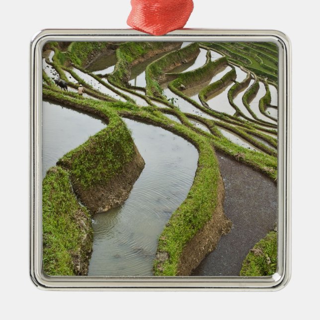 Asien, China, Yunnan, Yuanyang. Reis Silbernes Ornament (Vorne)