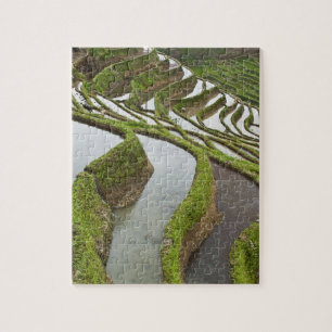 Asien, China, Yunnan, Yuanyang. Überschwemmter Rei Puzzle