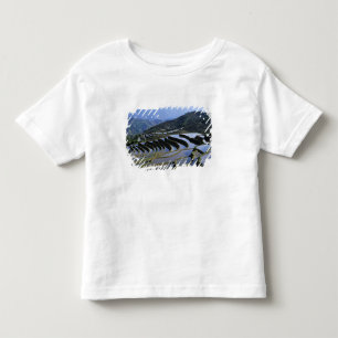 Asien, China, Yunnan, Yuanyang. Unwegsam Kleinkind T-shirt
