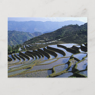 Asien, China, Yunnan, Yuanyang. Unwegsam Postkarte
