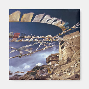 Asien, Indien, Ladakh, Leh. Bekannt als wenig Magnet