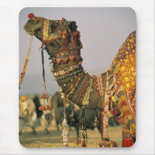 Asien, Indien, Puschkar. Camel Shamu, Puschkar Mousepad