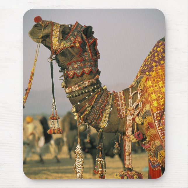 Asien, Indien, Puschkar. Camel Shamu, Puschkar Mousepad (Vorne)