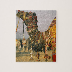 Asien, Indien, Pushkar. Kamel Shamu, Pushkar Puzzle