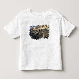 Asien, Iran, Isfahan. Pol-e Khaju Brücke. Kleinkind T-shirt