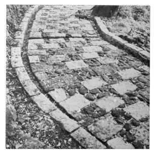 Asien, Japan, Hakone. Spazierweg am Ashinoko-See Fliese