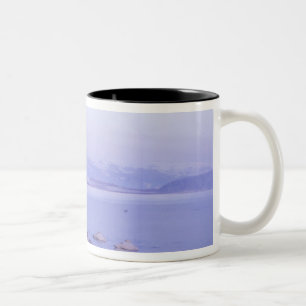 Asien, Japan, Hokkaido, Akan NP, Whopper Schwäne Zweifarbige Tasse