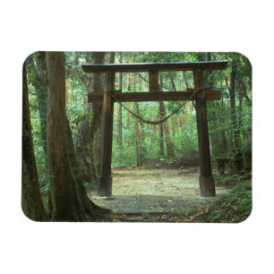 Asien, Japan, Kagoshima, Yakushima, Berg Magnet