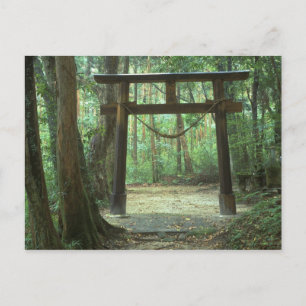 Asien, Japan, Kagoshima, Yakushima, Berg Postkarte