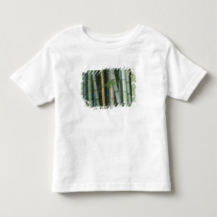 Asien, Japan, Kyoto, Arashiyama, Sagano, Bambus Kleinkind T-shirt
