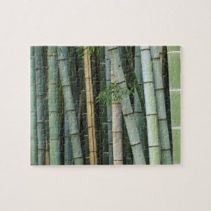 Asien, Japan, Kyoto, Arashiyama, Sagano, Bambus Puzzle
