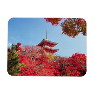 Asien, Japan, Kyoto. Farbe des Herbstes Magnet