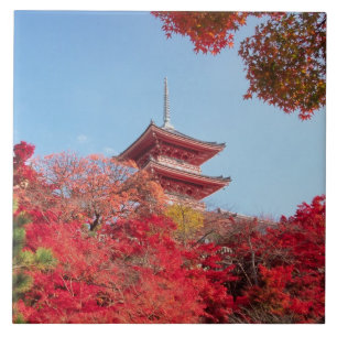 Asien, Japan, Kyoto. Herbstfarbe Fliese