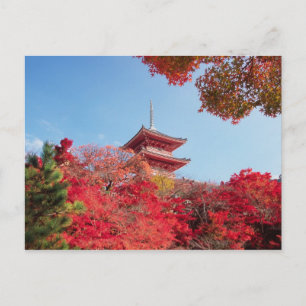 Asien, Japan, Kyoto. Herbstfarben Postkarte