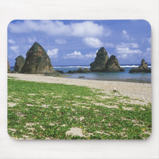Asien, Japan, Okinawa, Yambaru-Küste, Meer Mousepad (Vorne)