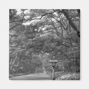 Asien, Japan, Tokio, Gelände des Meiji-Schreins, Magnet