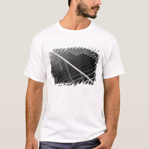 Asien, Japan, Tokio. Treppen, Tokio International  T-Shirt