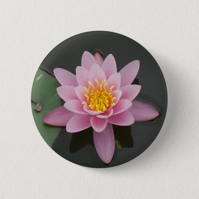 Asien-Lotos-Blume Button (Vorderseite)