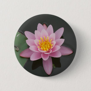 Asien-Lotos-Blume Button